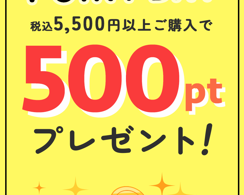 税込5,500円以上ご購入で500ptプレゼント！