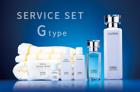 サービスセット Gタイプ