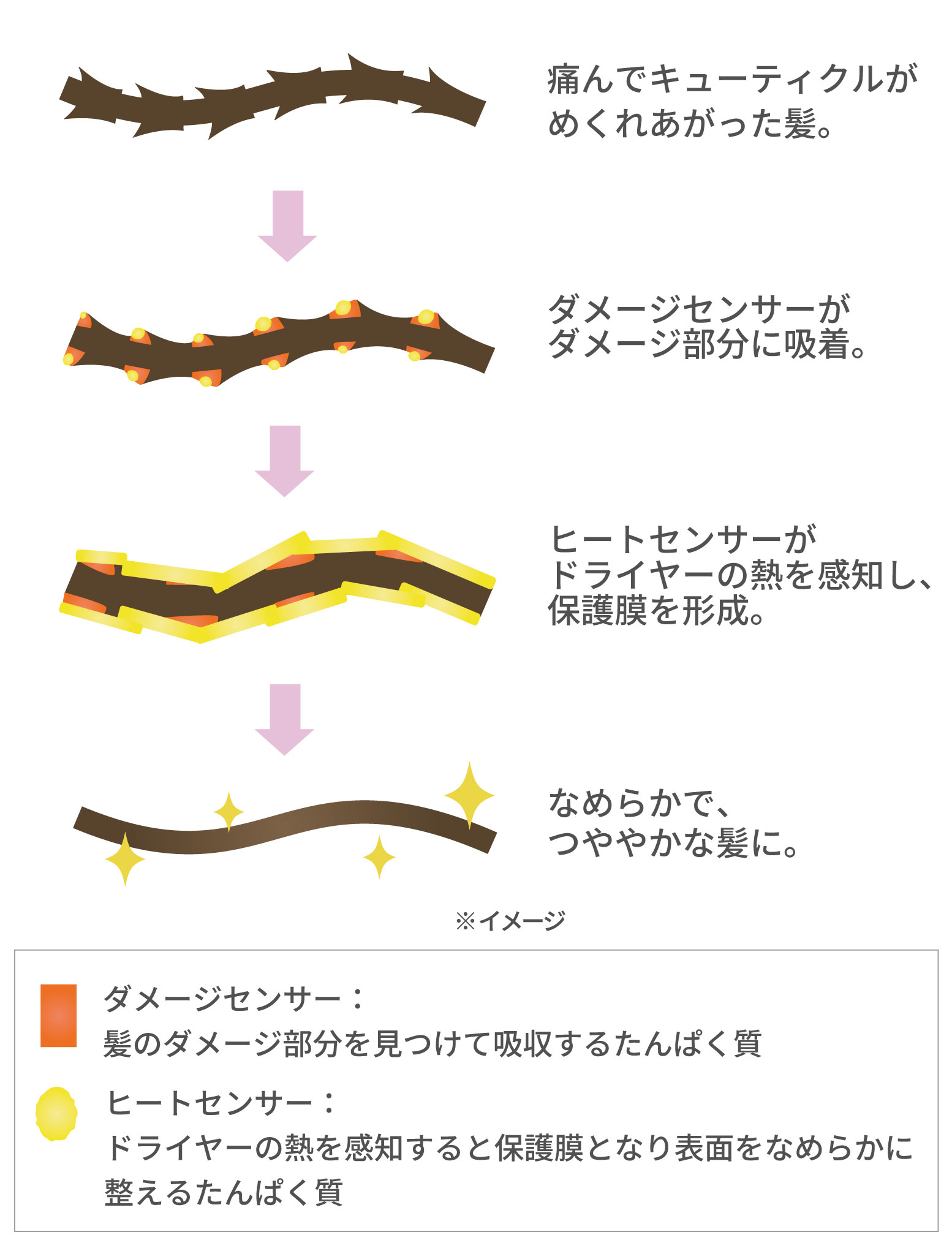 ヒートプロテクト成分