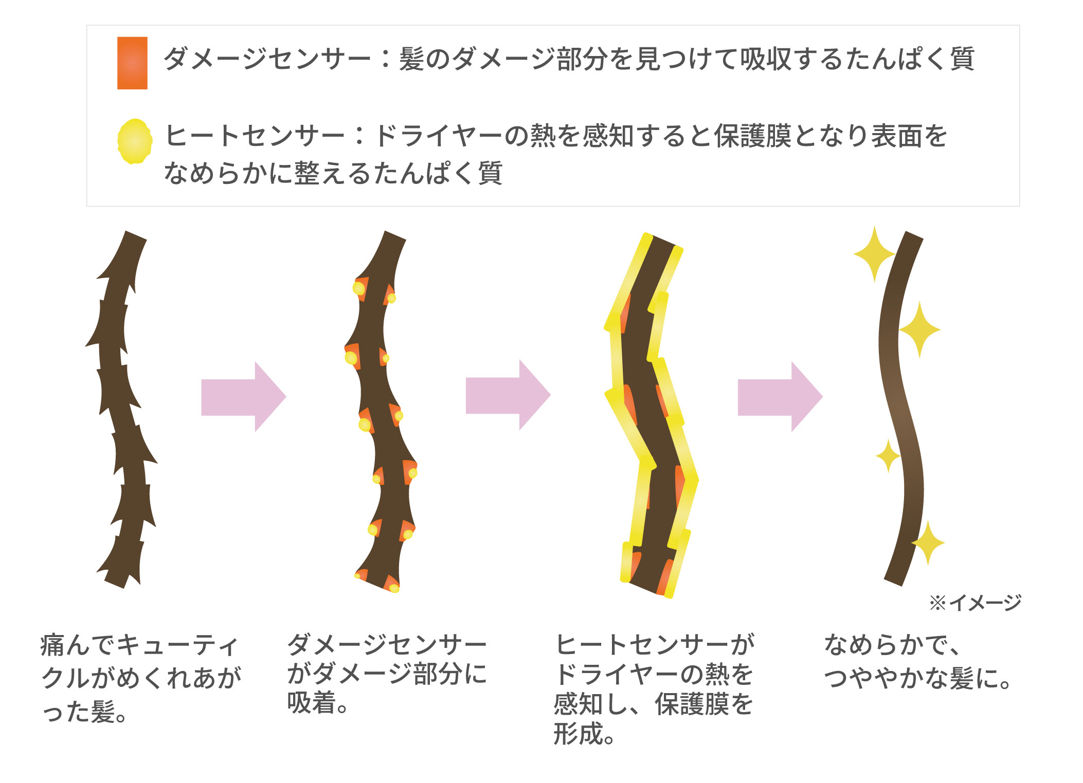ヒートプロテクト成分