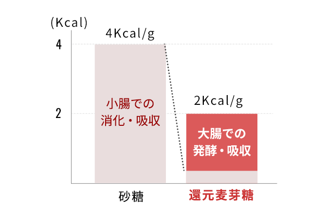 脂肪になりにくい！