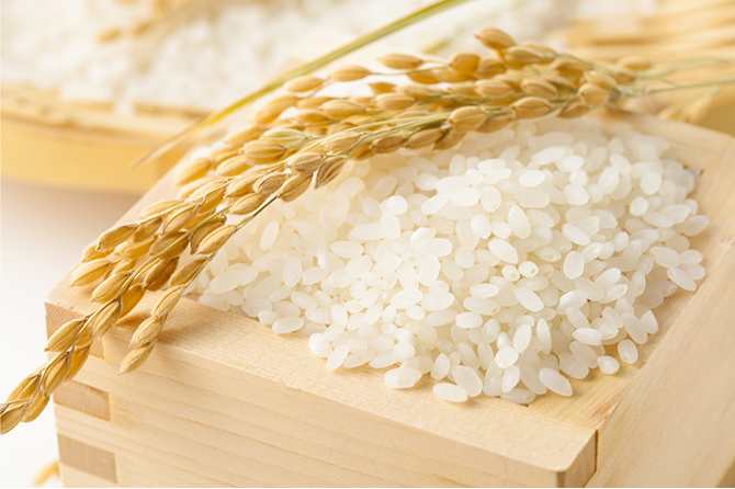 ブラックジンジャー由来ポリメトキシフラボン