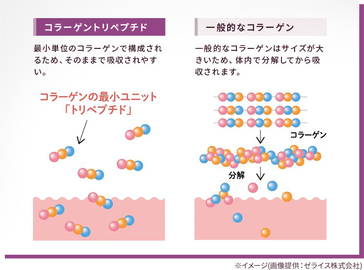 コラーゲンペプチド