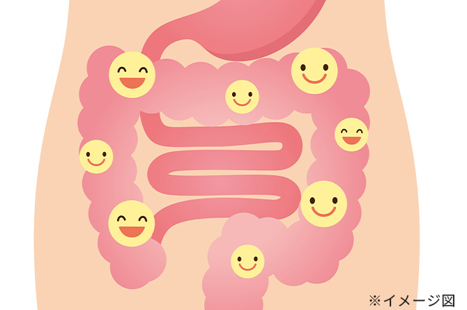 筋肉をつけて基礎代謝量をアップすると、太りにくい体に