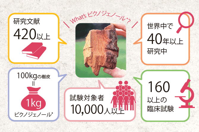 カラーチャート