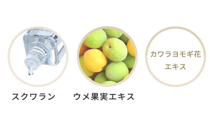 
トリートメントケア成分※配合で眉毛や地肌を保護