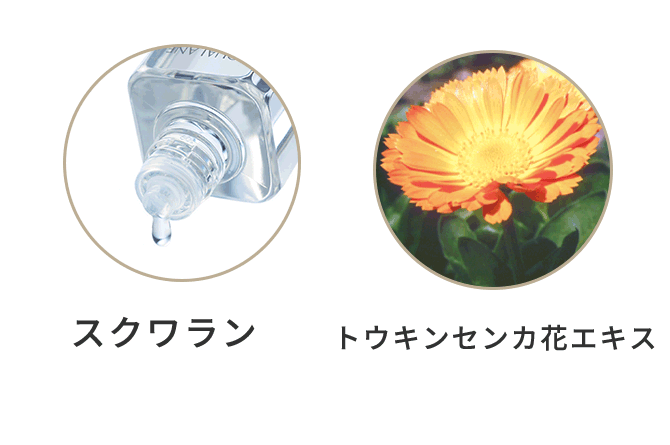 美容液成分配合