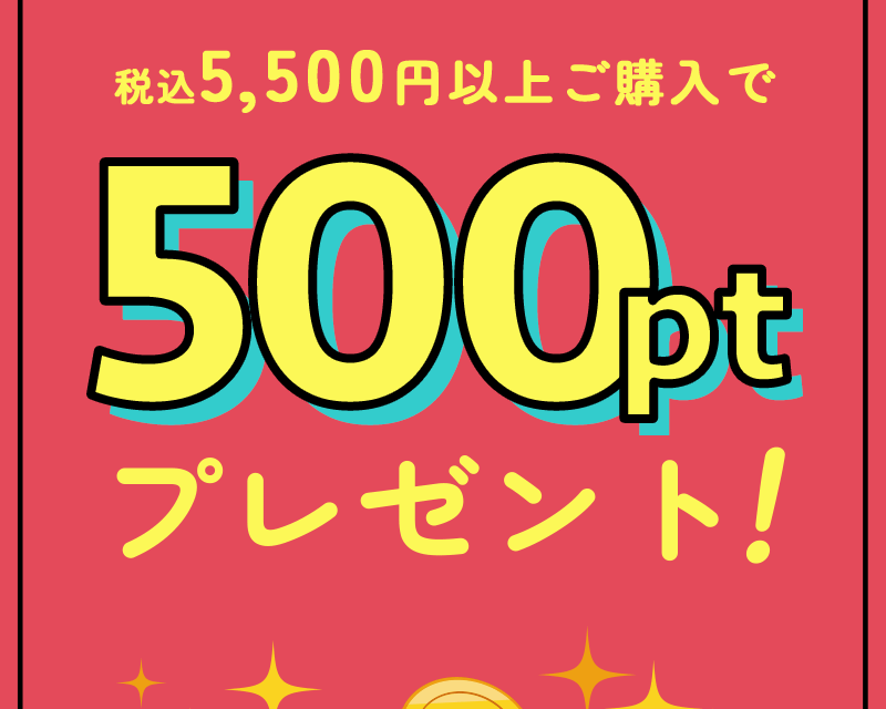 税込5,500円以上ご購入で500ptプレゼント！