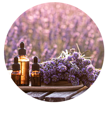 鎮静・沈黙