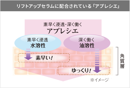 リフトアップセラムに配合されている「アプレシエ」