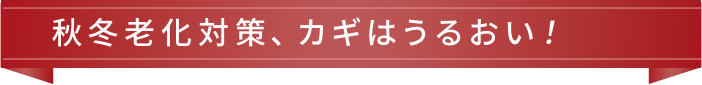 秋冬老化対策、カギはうるおい！