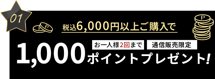 キャンペーン01: 1,000ポイントプレゼント