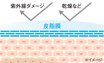 3Stepですこやかな肌へ