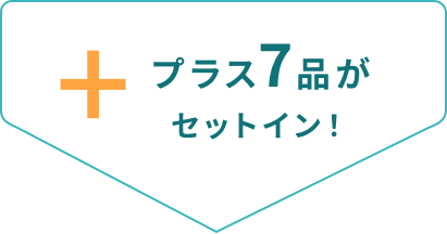 プラス7品がセットイン